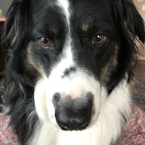 Meet your Posher, Jonathan